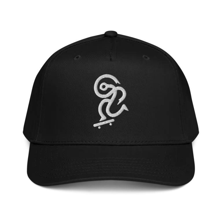 5 panel cap